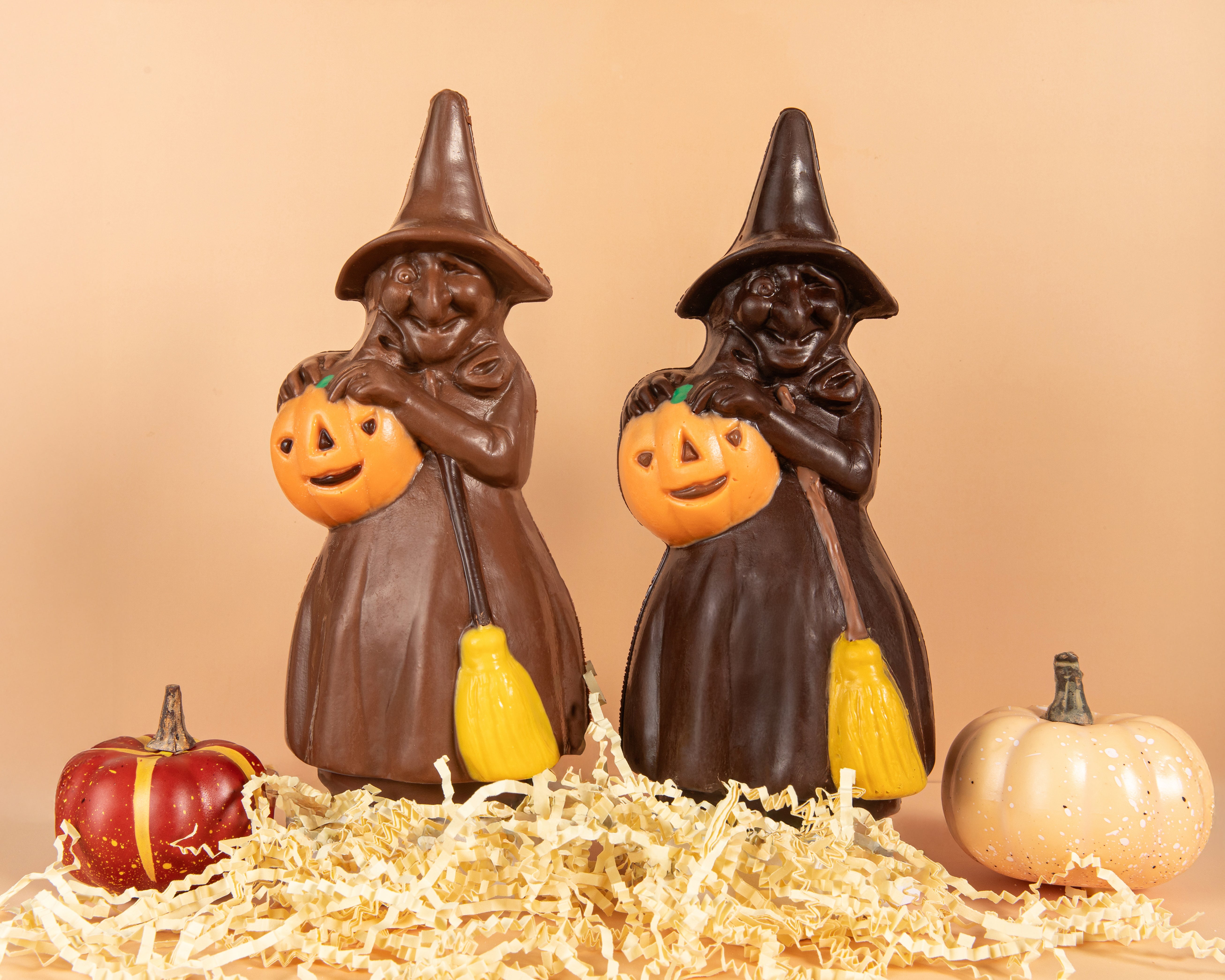 Big Chocolate Witch | Halloween Gifts | Li-Lac Chocolates