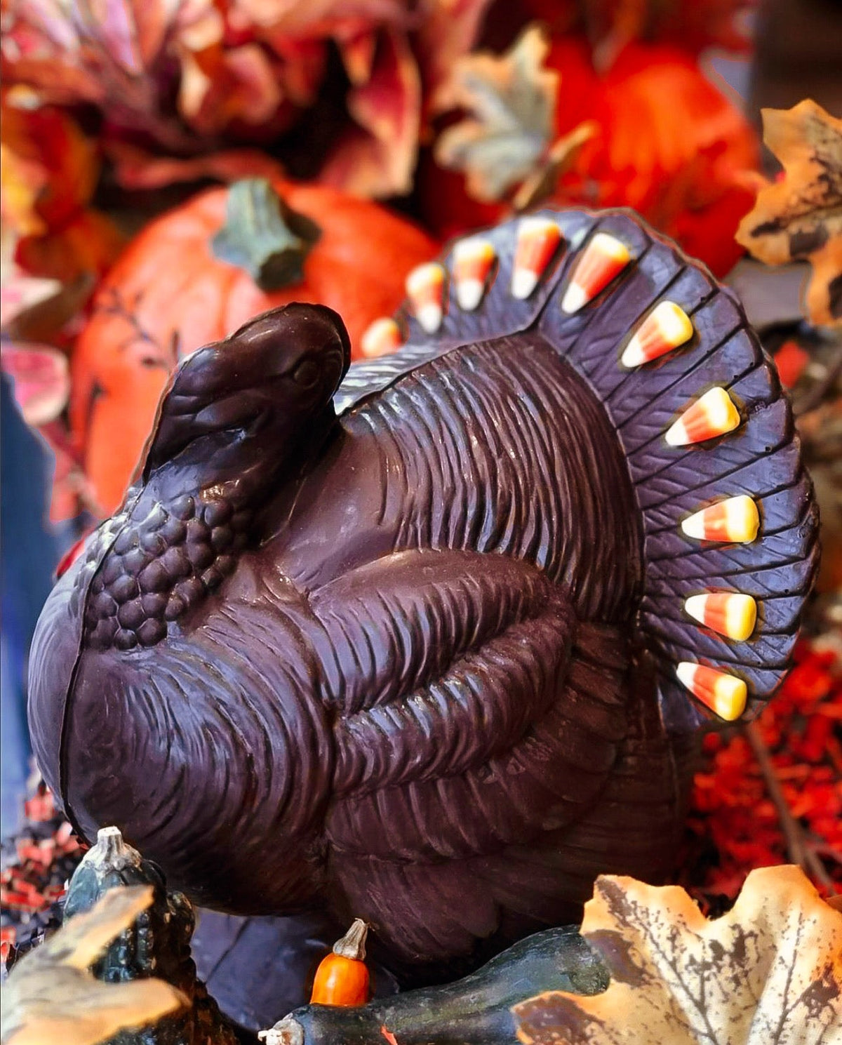 Thanksgiving Collection