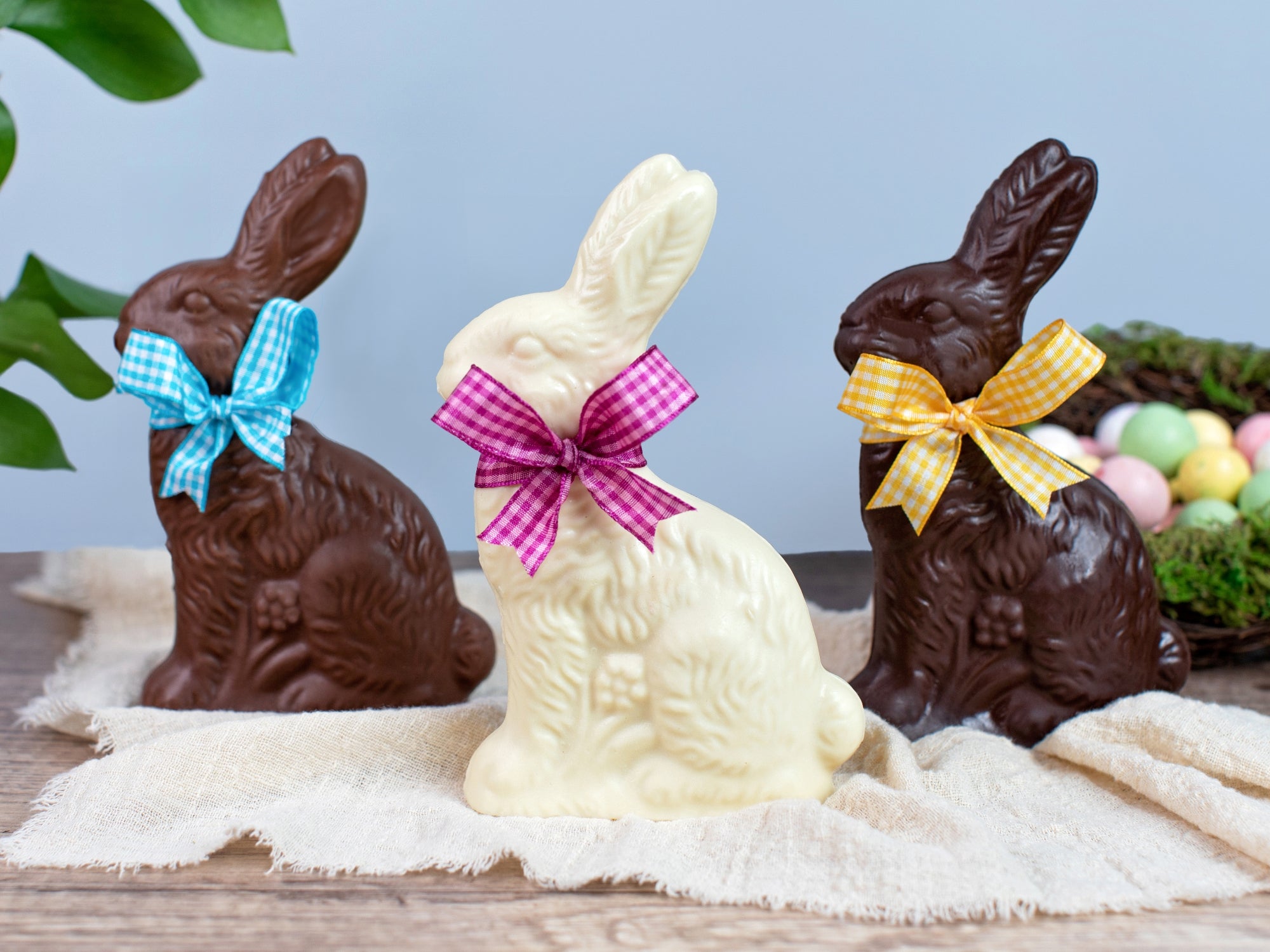 Chocolate Easter Bunny (10 oz)
