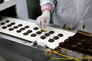 chocolate squares running down the enrober belt while someone is hand decorating each piece