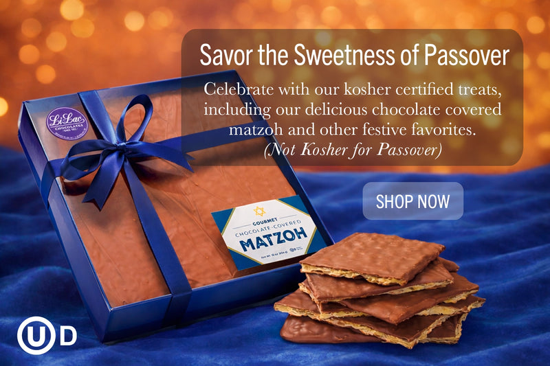 Passover Advertising banner