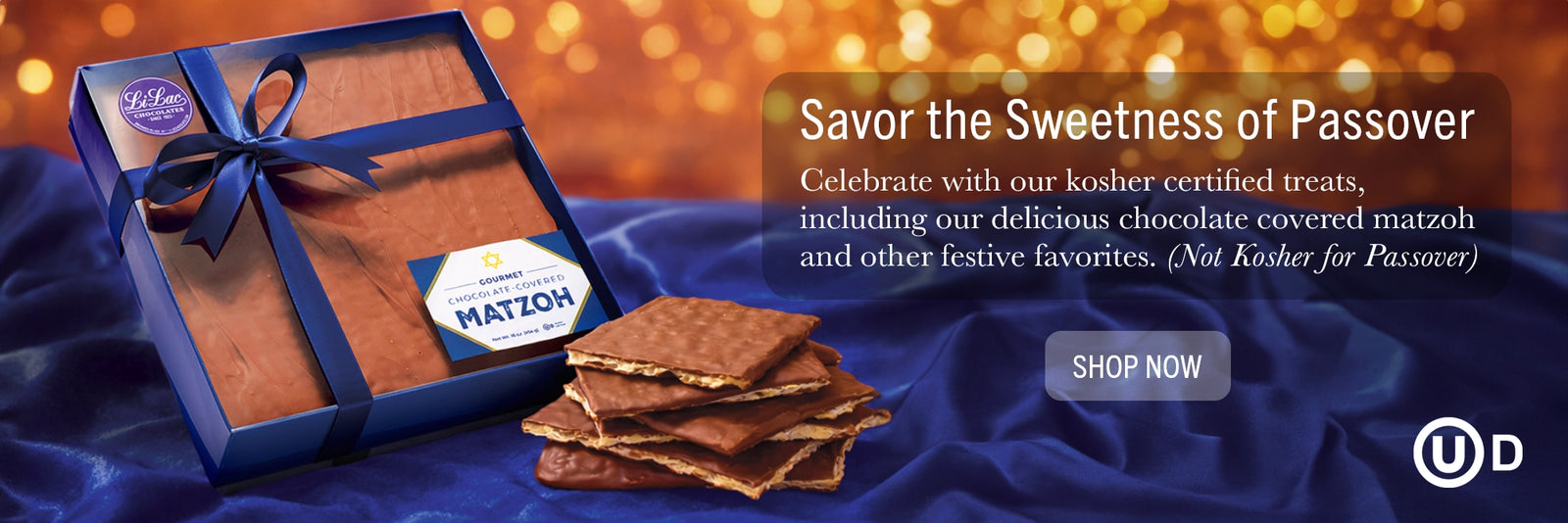 Passover Advertising banner