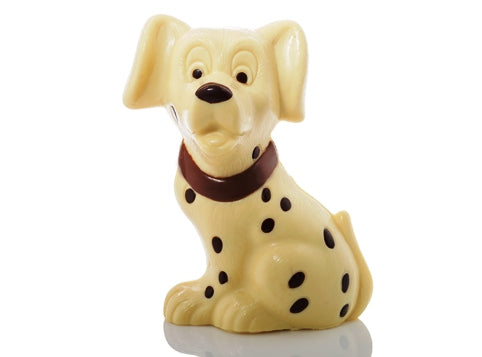 A sitting white chocolate dalmation dog with dark chocolate spots and collar. 