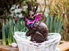 Chocolate Sitting Rabbit in a white Easter Basket outside with green shoots and floral branches as a background.
