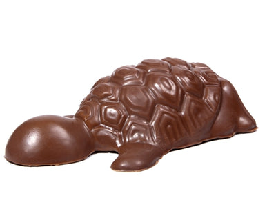 A three-dimensional molded chocolate Turtle.